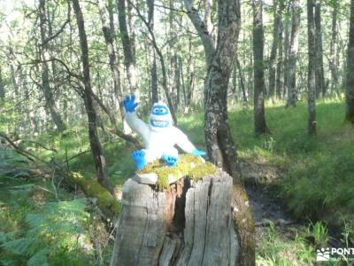 Bosques y Leyendas del Alto Carrión; felicidad lujo sol y playa renueva tu vida emocional